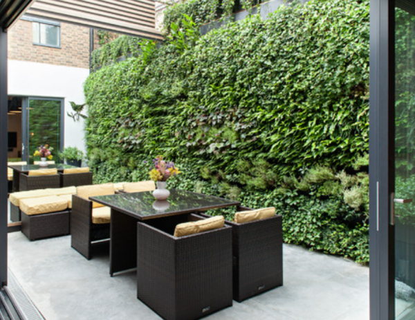 Taman vertikal di dinding luar rumah